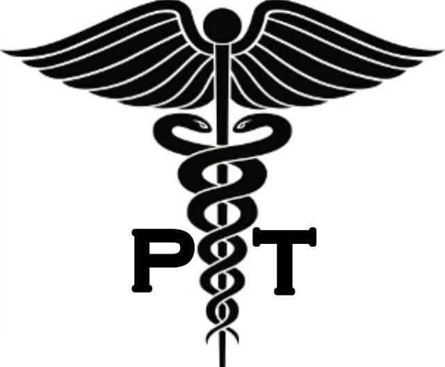 Physical Therapist logo