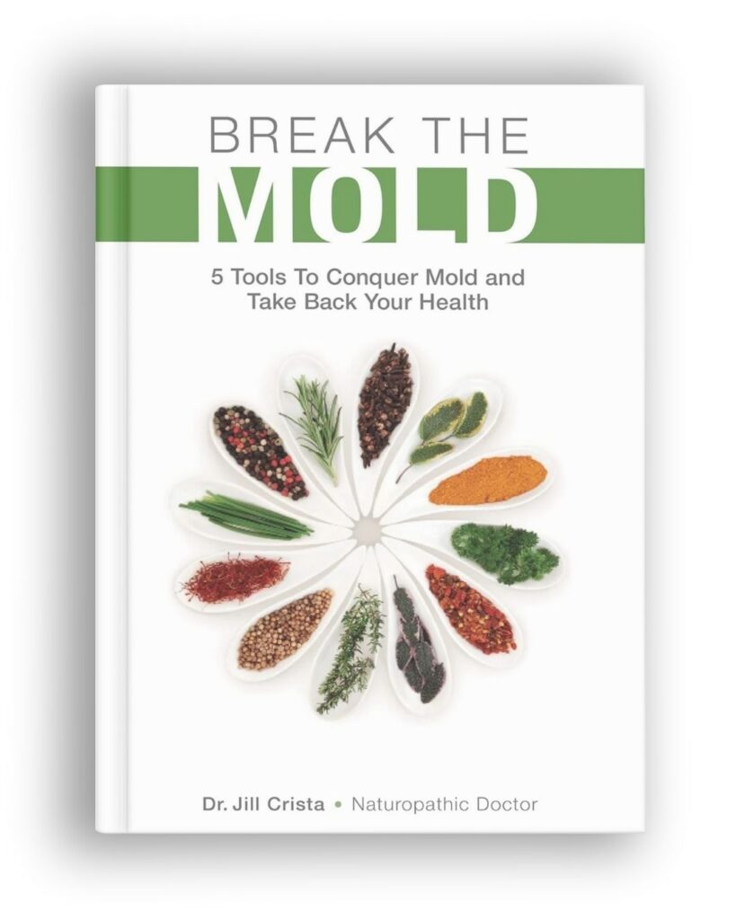 Break the Mold book by Dr. Jill Crista