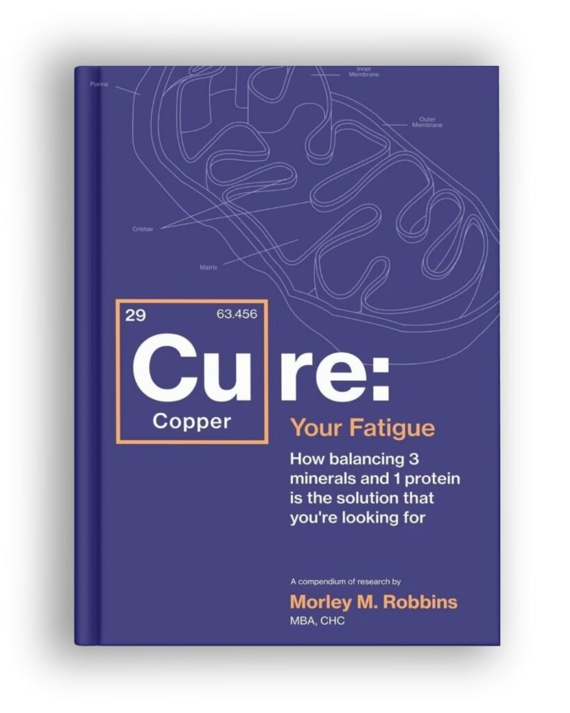 Cure Your Fatigue book by Morely Robbins