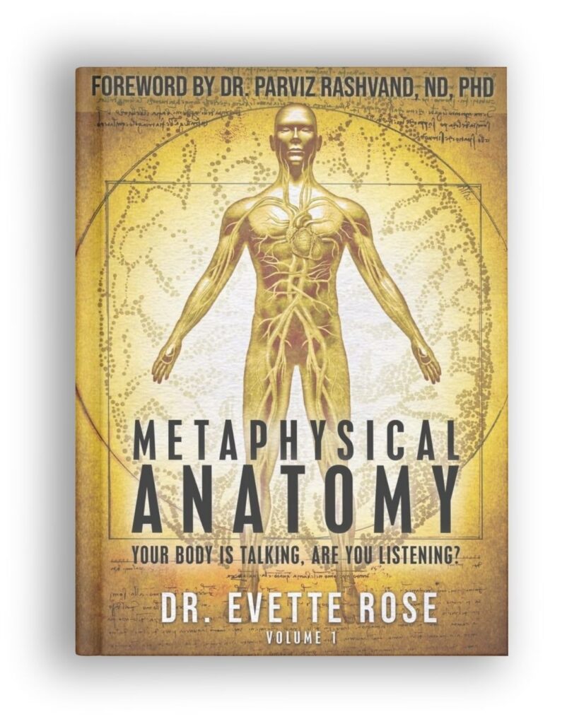 Metaphysical Anatomy